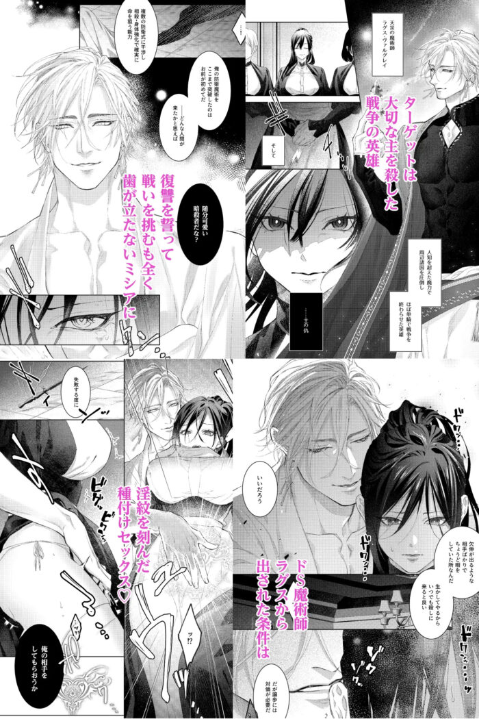 暗殺者は執着魔術師を殺せない hitomiやrawは危険