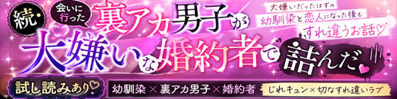 続・会いに行った裏アカ男子が大嫌いな婚約者で詰んだ。画像2