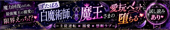 ずたぼろ白魔術師、天然魔王さまの愛玩ペットに堕ちる 画像2