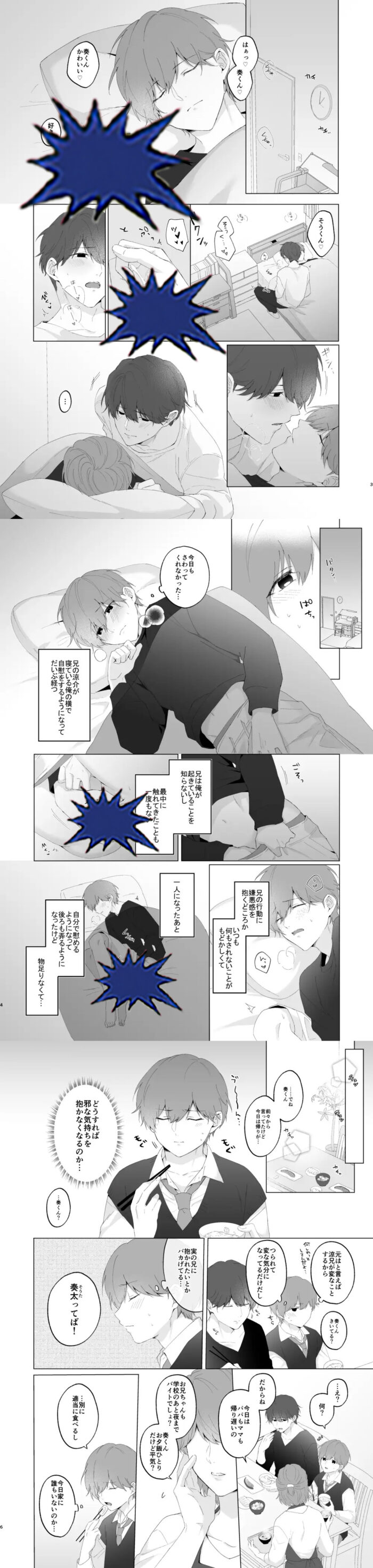 奏太くんとお兄ちゃん 画像