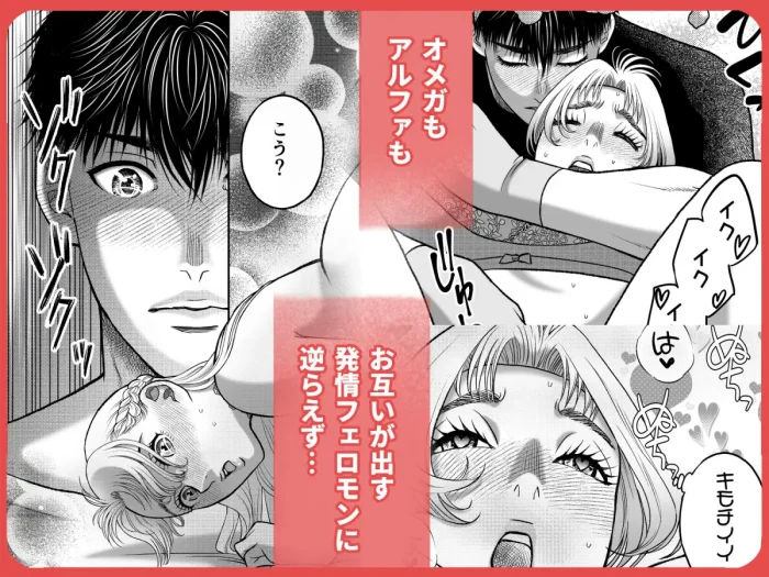 私の婚約者が陰キャαで推しの弟でした1