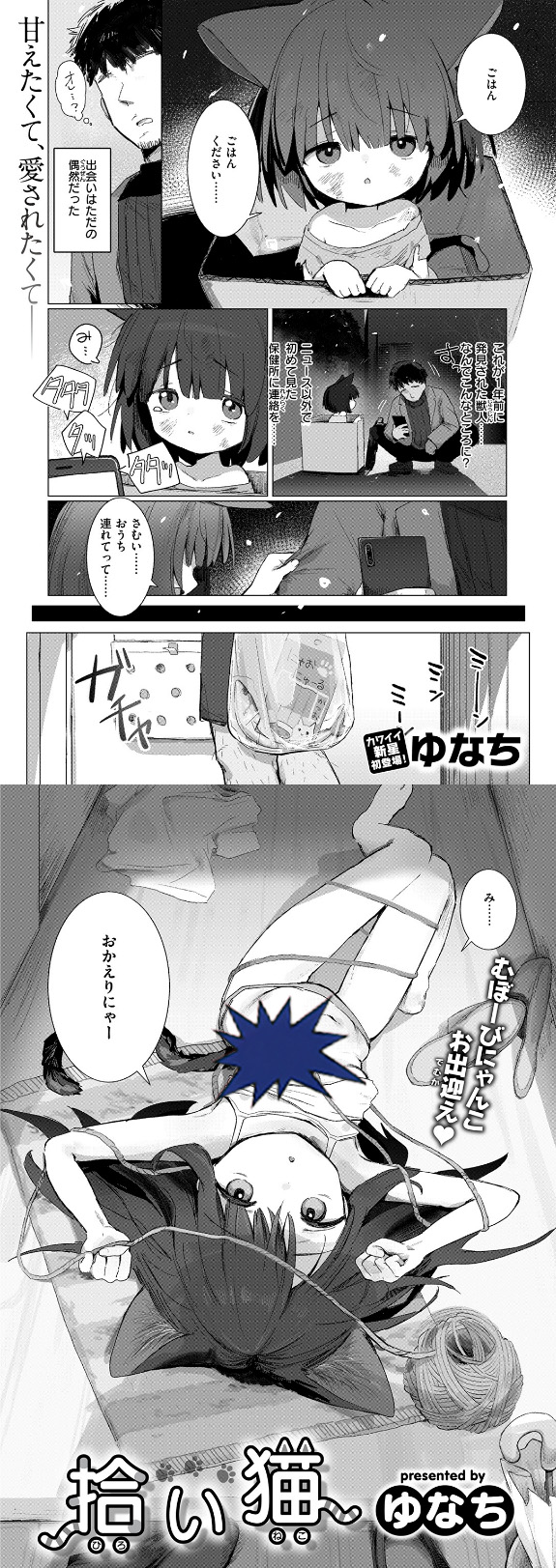 拾い猫 hitomiやrawは危険