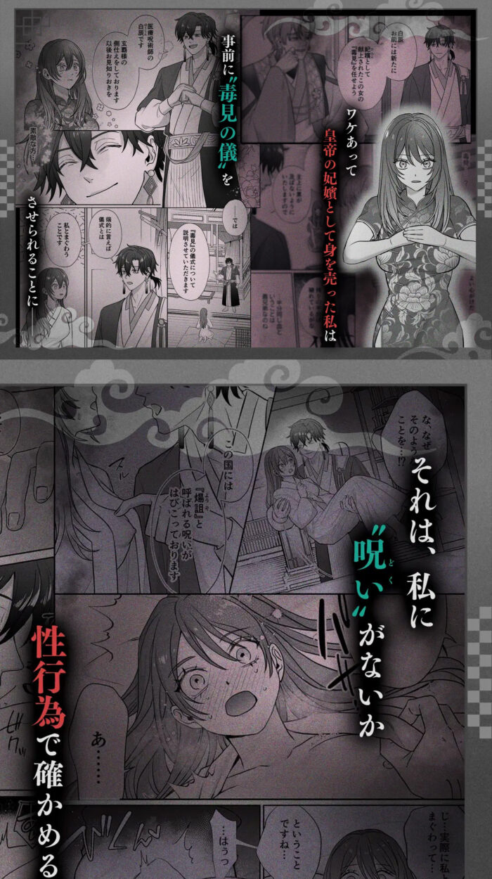 皇宮呪術師の隷属閨事～愛してくれるまで舐めてハメて抱き潰す～ hitomiは危険.jpg