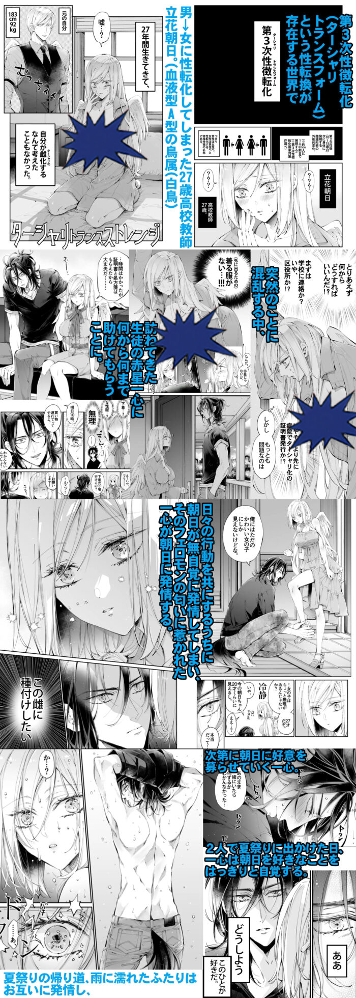 ターシャリトランスストレンジ hitomiやrawは危険