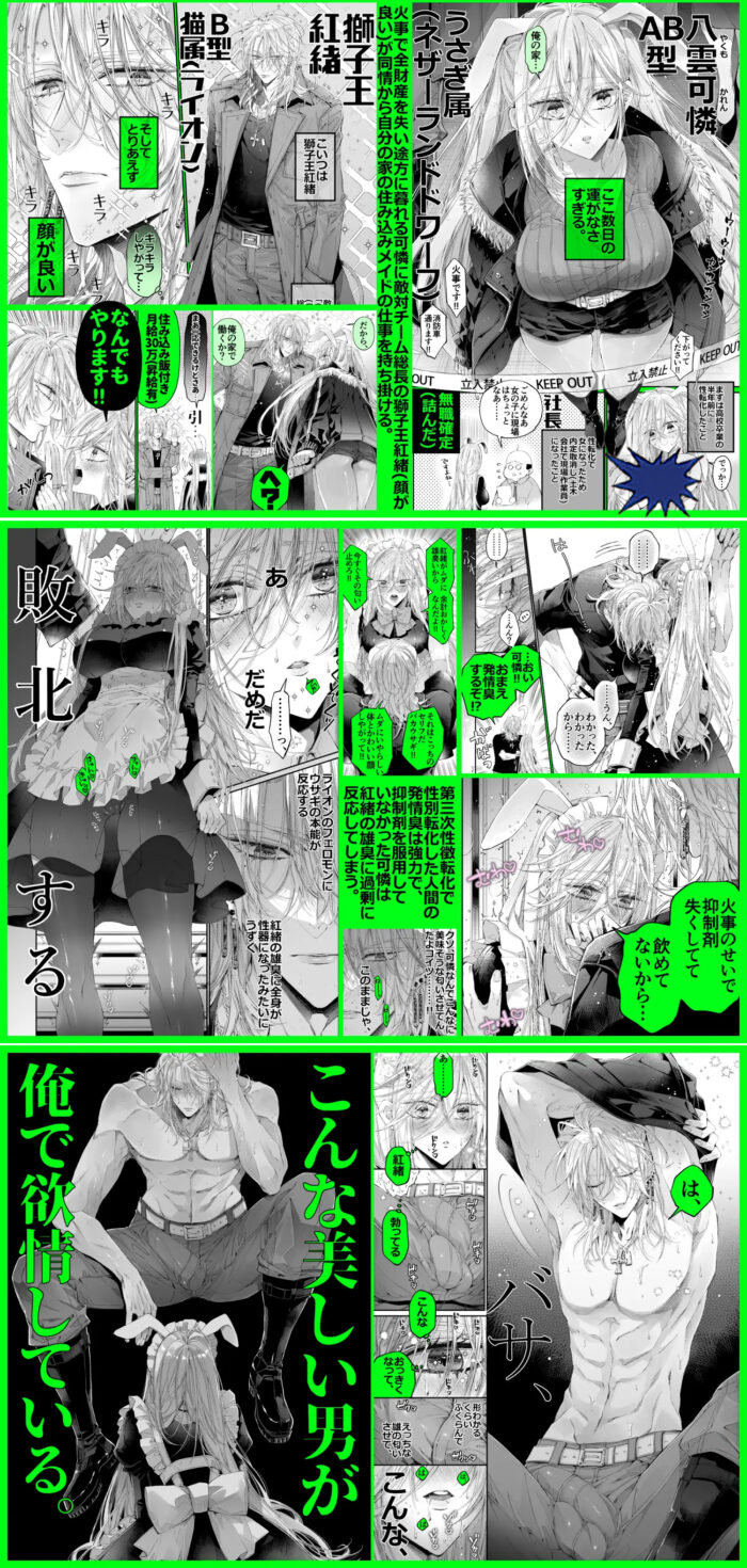 ターシャリトランスストレンジ*絶世の美女(元ヤン総長)が絶世の美男×2(敵対チーム総長)+(幼馴染)に執着溺愛される話 hitomiやrawは危険