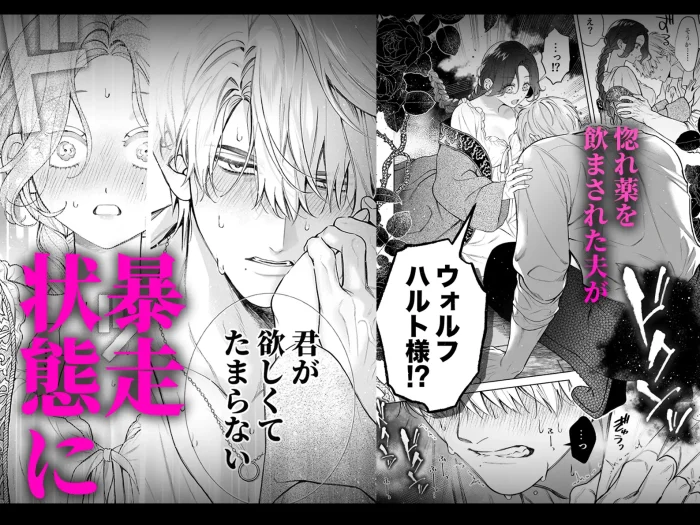 惚れ薬で豹変した最強騎士の暴走が止まりません