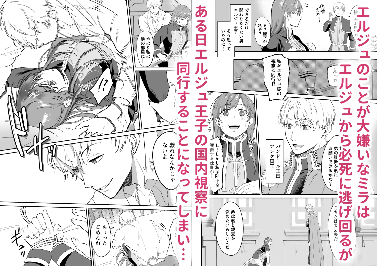 漫画「最強女騎士は執着系弟王子から逃げられない！」無料で読める！hitomiやrawは？徹底調査！