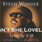 Isn't She Lovely / Stevie Wonder