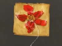 過去作と繋がるMVが胸熱！King Gnu「ねっこ」が描く新たな世界観に注目！