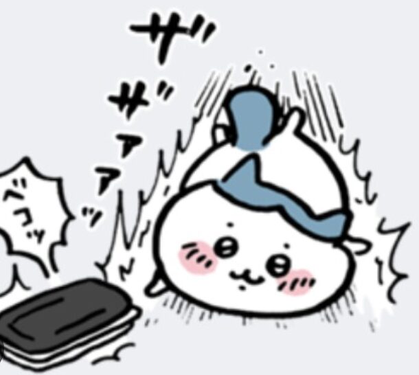 ハチワレ