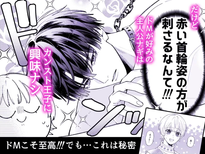 カンスト王子は冷酷姫を渇望する