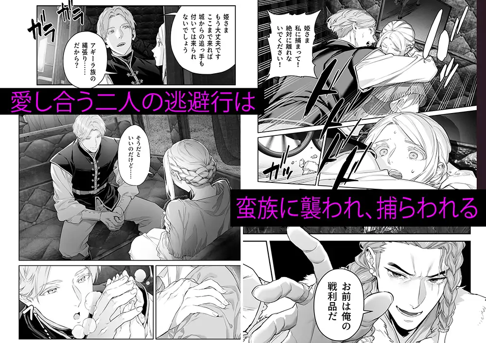 漫画「蛮族の花嫁～堕ちた姫君～」無料で読める！hitomiやrawは？徹底調査！