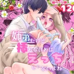 漫画「姉弟だけど挿れなければえっちじゃないよね」1話 2話 無料で読める！hitomiやrawは？徹底調査！