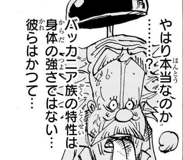 【バッカニア族の正体】くまの種族に隠された“大罪”と世界政府が恐れる理由とは？