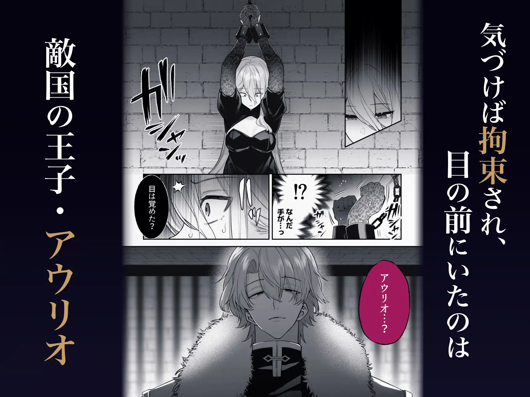 漫画「王女殿下は謎の豹変執着王子に孕ませられる」が無料で読めるか徹底調査!最安値サイトも紹介!