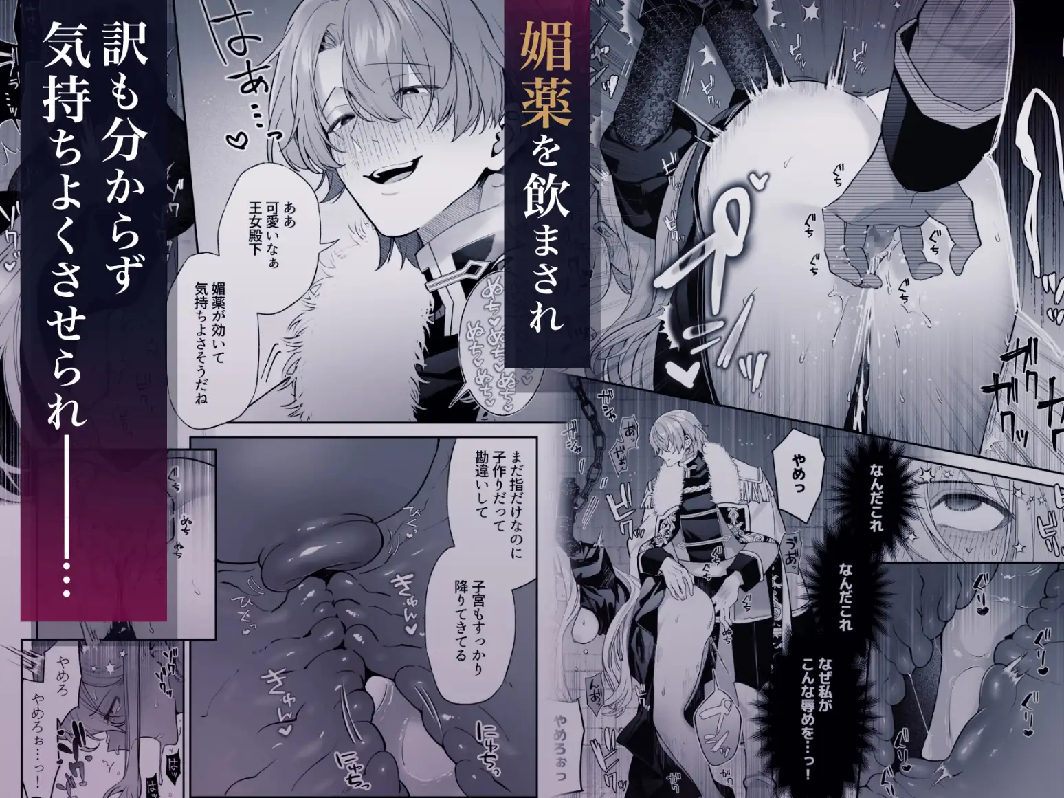 王女殿下は謎の豹変執着王子に孕ませられる 漫画 無料