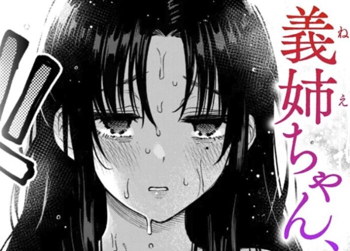 義姉ちゃん、オナホになってよ。前編 無料