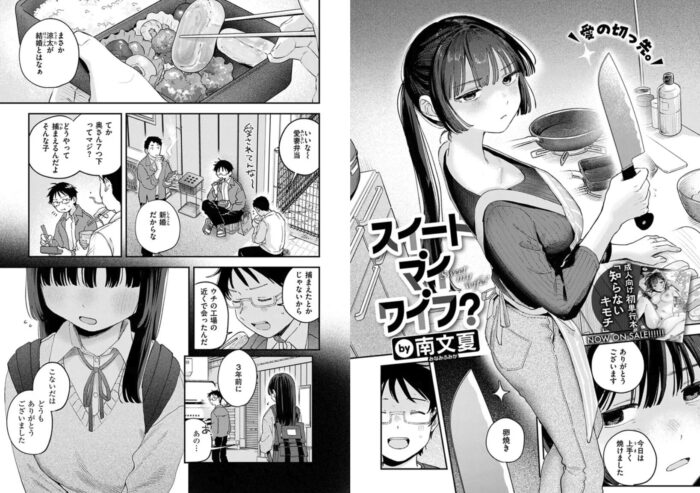 スイート・マイ・ワイフ?