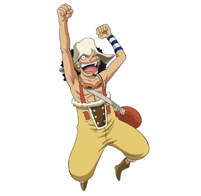 麦わらの一味の強さと成長が一目でわかる！懸賞金の推移・能力・役職を完全ガイド【ONE PIECE】