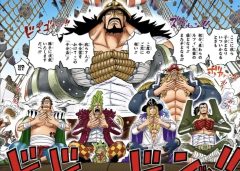「ワンピース」麦わら大船団、メンバーを完全解説！全7船の戦力・懸賞金まとめ