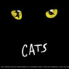 なぜ「キャッツ」は愛され続けるのか｜劇団四季の代表作と2027年福岡公演の全情報まとめ